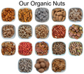 Dried Figs (Anjeer) – Natural Organic Premium-quality + Free sample!